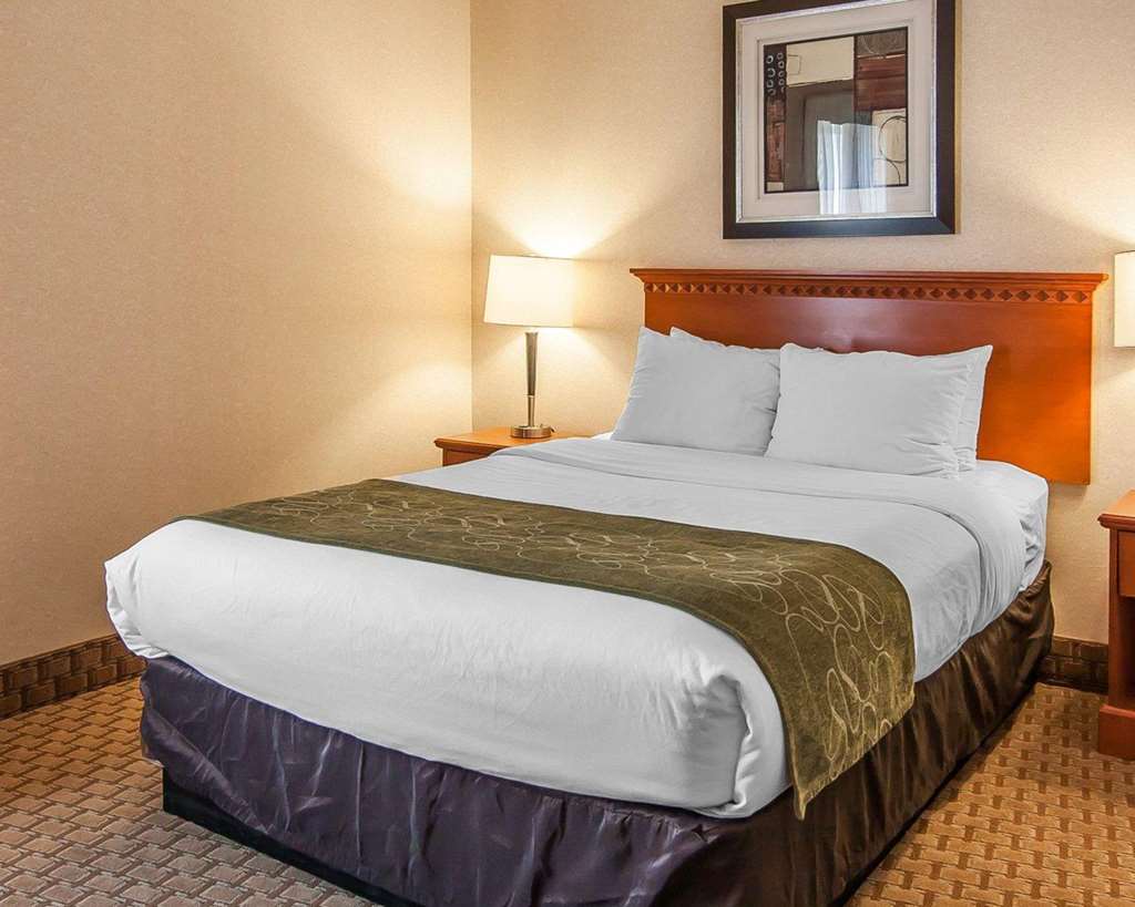 Comfort Suites Redmond Airport - photo 56