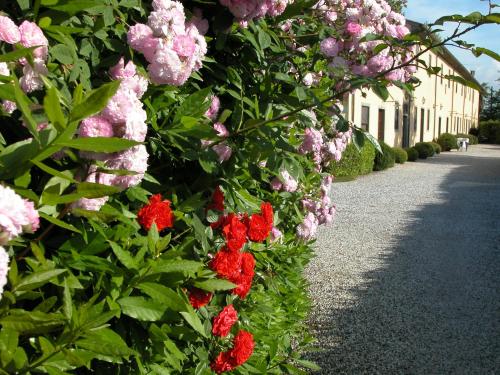 Fattoria Di Migliarino — 4-Star Luxury Hotel in Migliarino, Italy