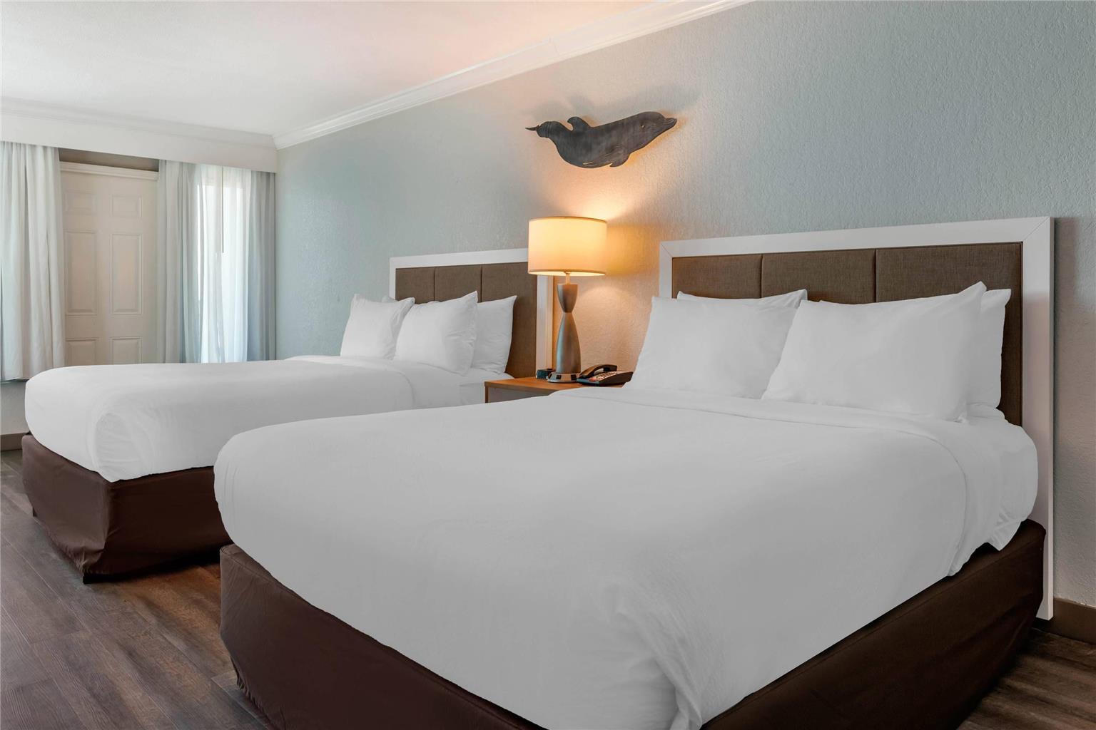 Dolphin Sands Clearwater Beach an Ascend Collection Hotel - photo 10