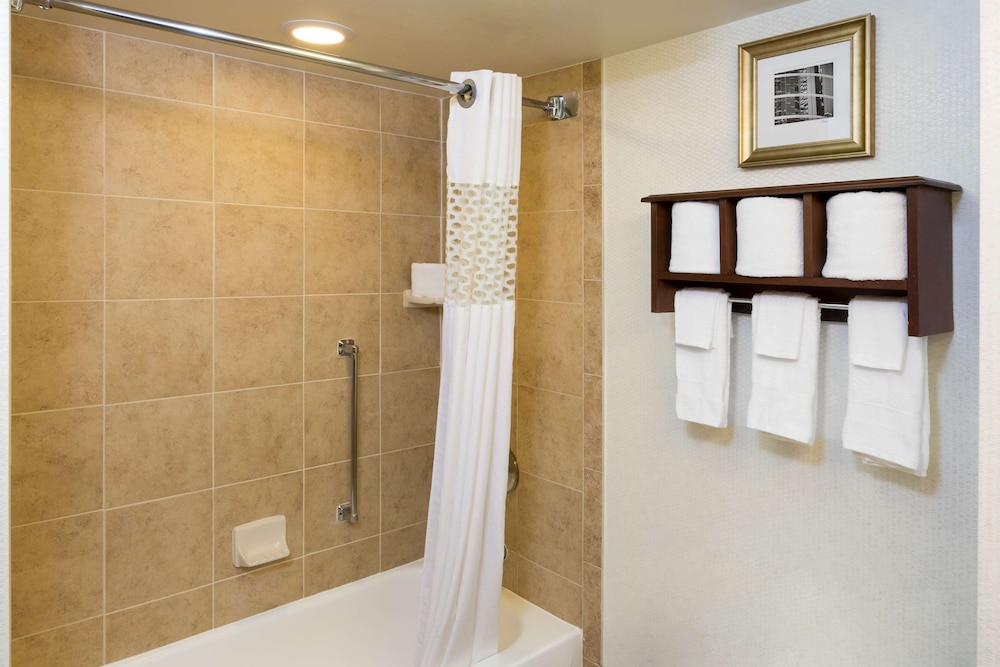 Hampton Inn Houston Near The Galleria - photo 16