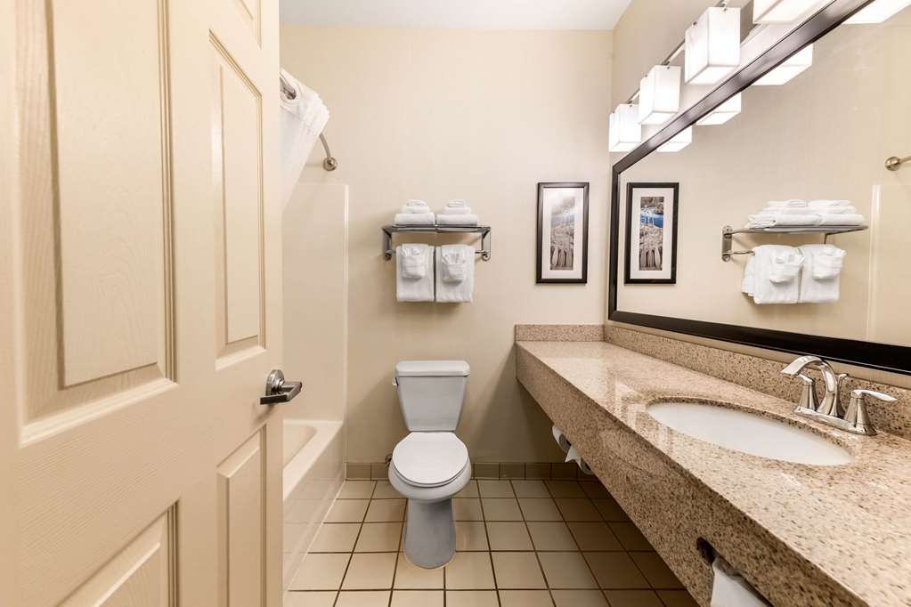 Quality Inn & Suites University Fort Collins - photo 9