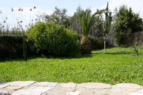 Alonia Villas