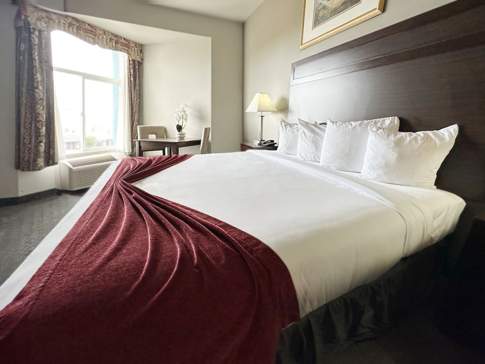 BayVue Hotel Resort and Suites - photo 35