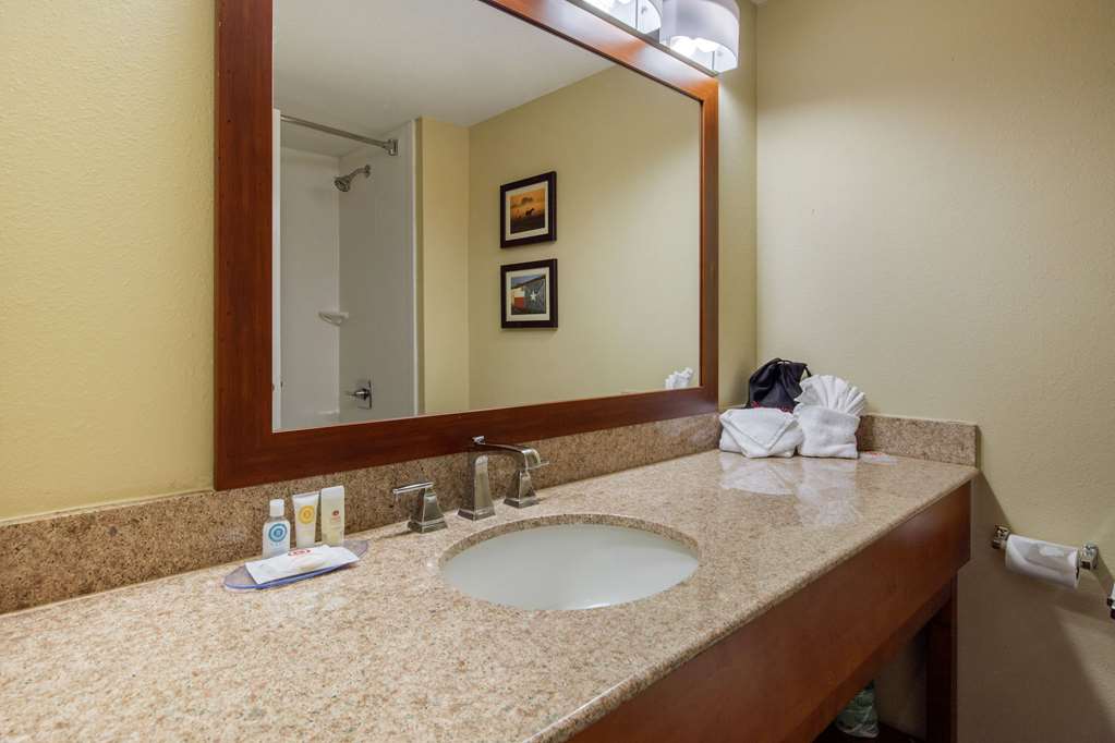 Comfort Inn & Suites SW Houston Sugarland - photo 13