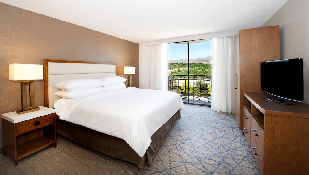 Embassy Suites by Hilton Colorado Springs - photo 11