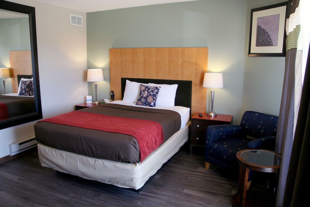 South T Motel - photo 11