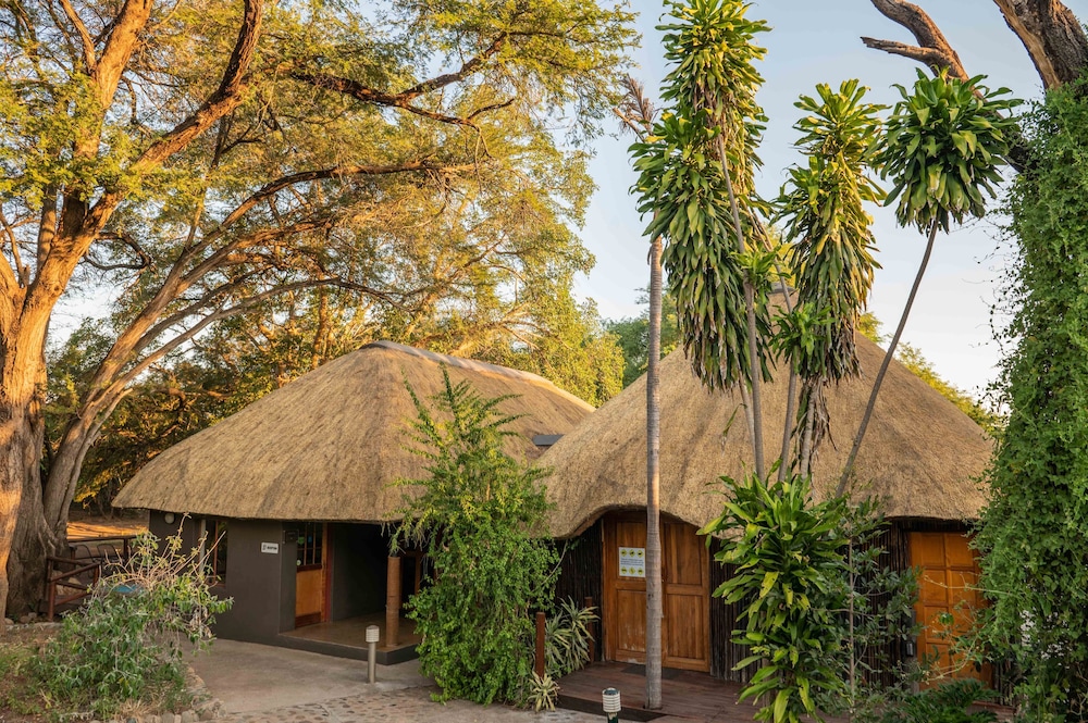 Bushriver Lodge — 4-Star Luxury Hotel in Hoedspruit, South Africa