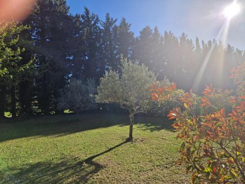 Le Mazet de Lois in Carpentras, France