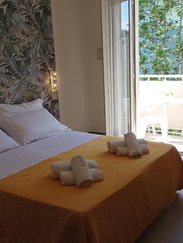 Hotel Carlo in Riccione, Italy