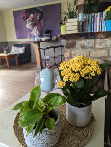 The Willoughby in Grantham, United Kingdom