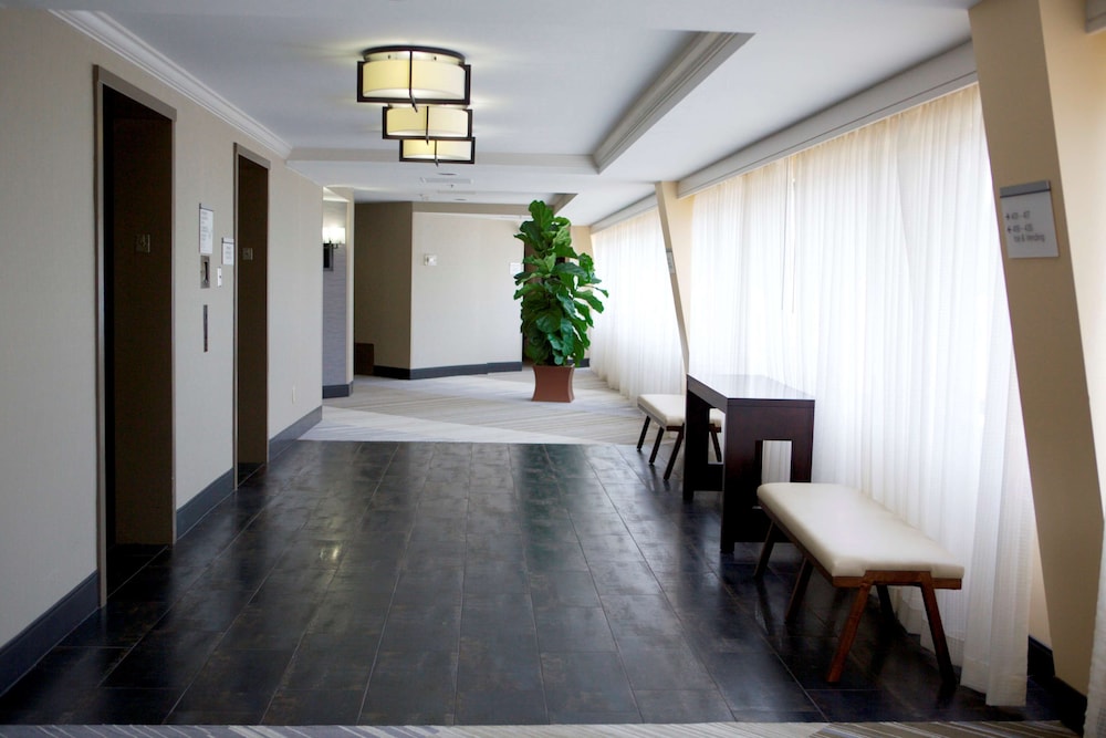 DoubleTree Suites by Hilton Raleigh Durham - photo 34