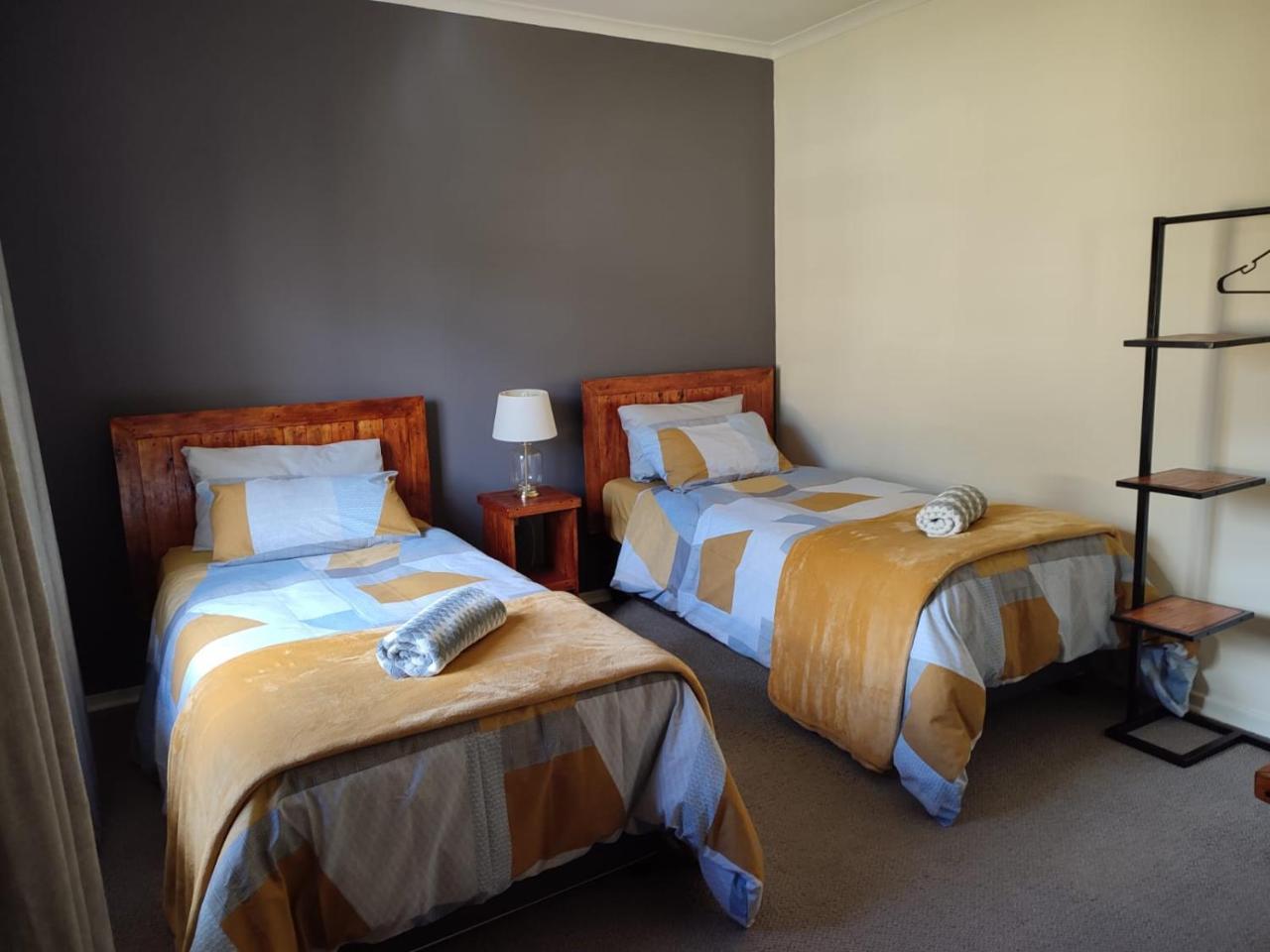 Cozy Cat Stays in Bloemfontein, South Africa