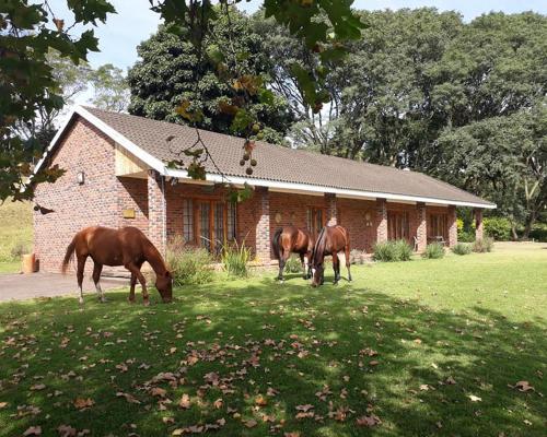 Chillifields Guesthouse — 4-Star Luxury Hotel in Durban, South Africa