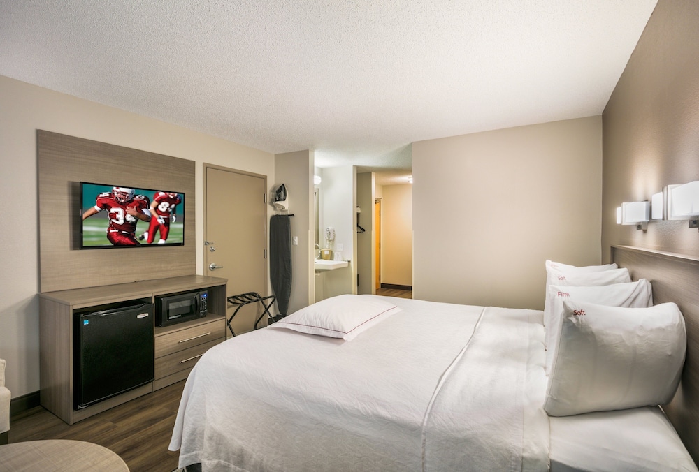 Red Roof Inn PLUS Boston Logan - photo 10