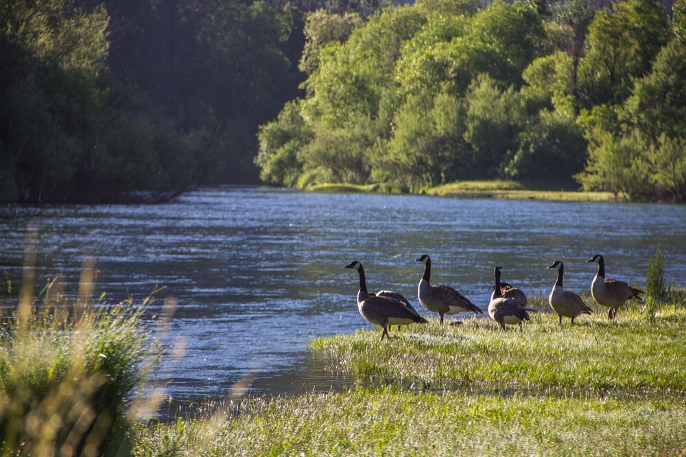 Indian Creek Lodge - photo 40