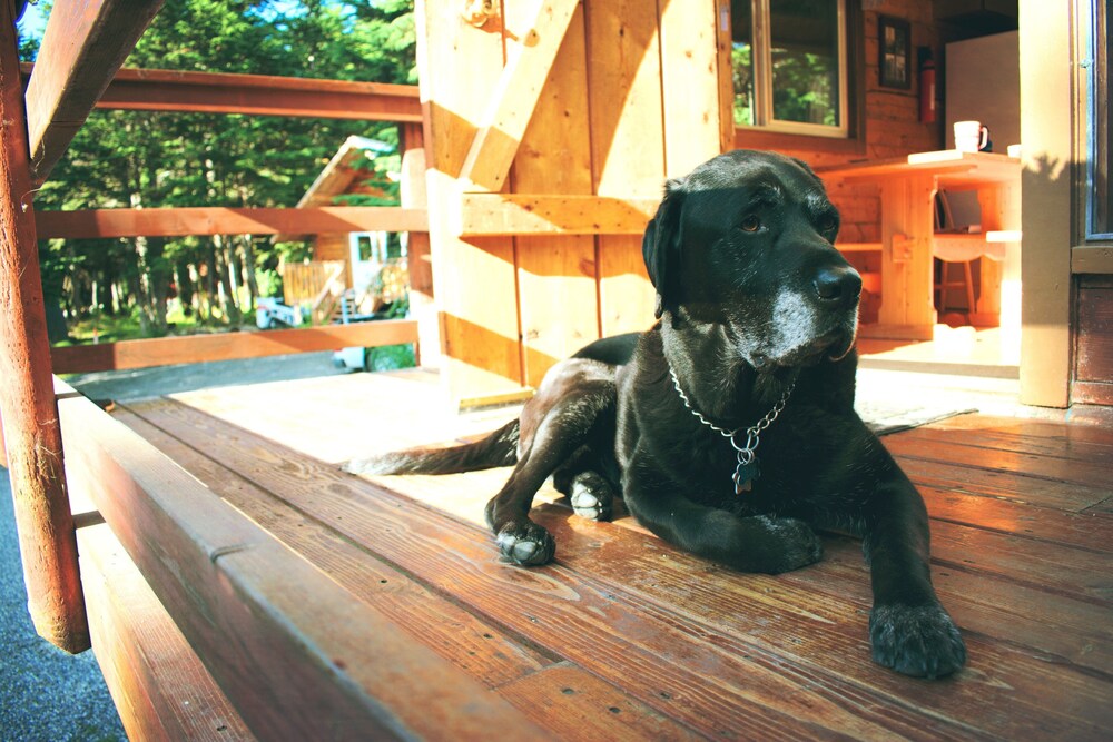 Alyeska Hideaway - photo 39