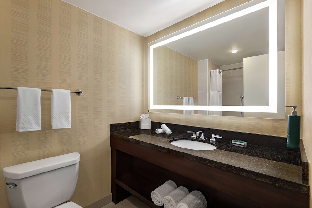 Hilton Tampa Downtown - photo 52