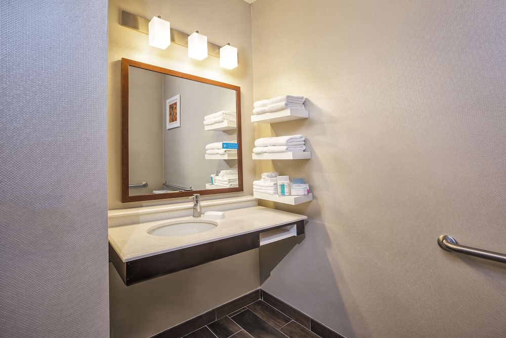 Hampton Inn Hotel Detroit Belleville Airport Area - photo 12