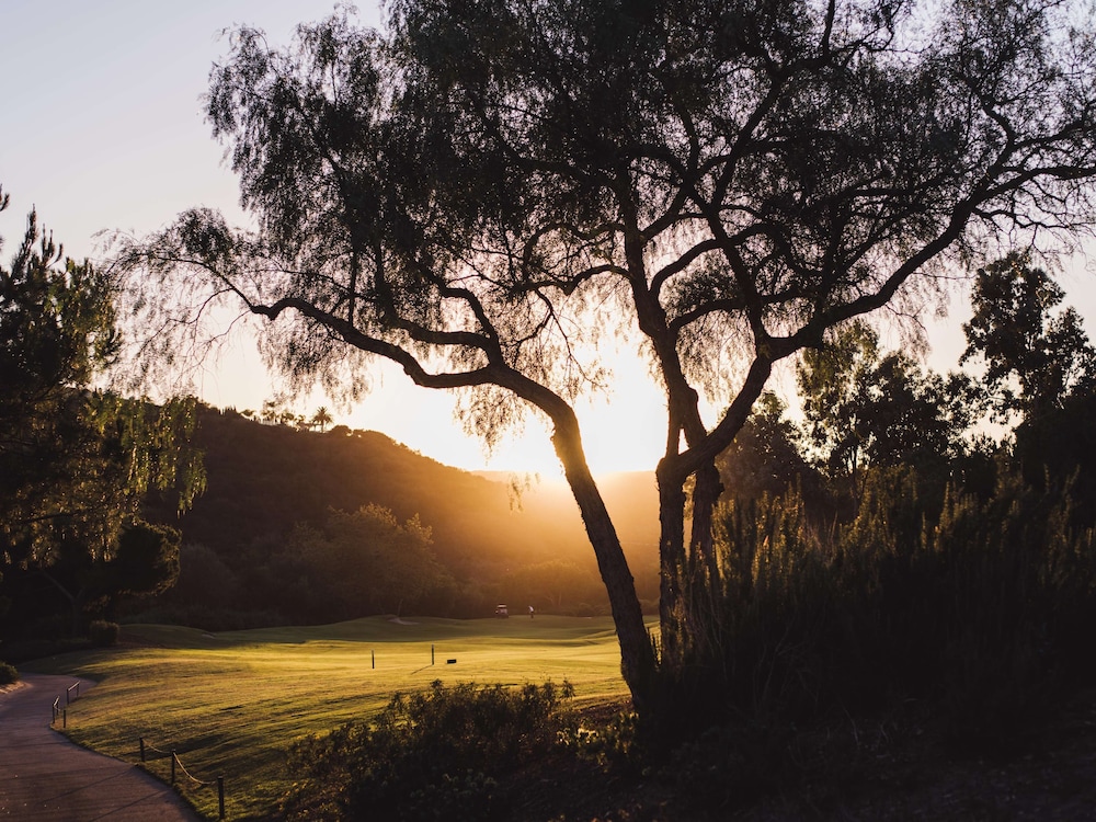 Fairmont Grand Del Mar - photo 98