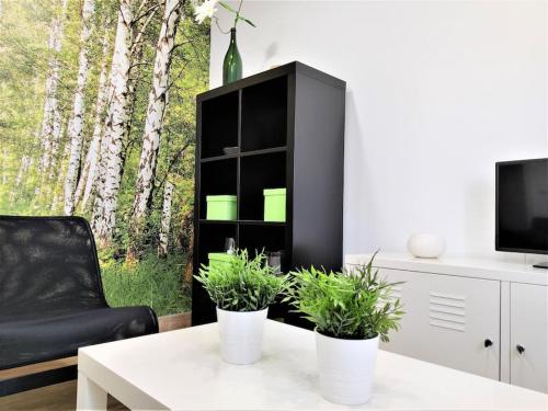 Las Casucas 1b in Santander, Spain