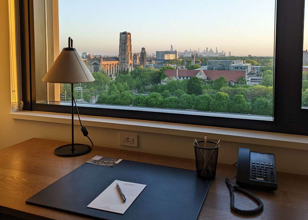The Study at the University of Chicago - photo 15