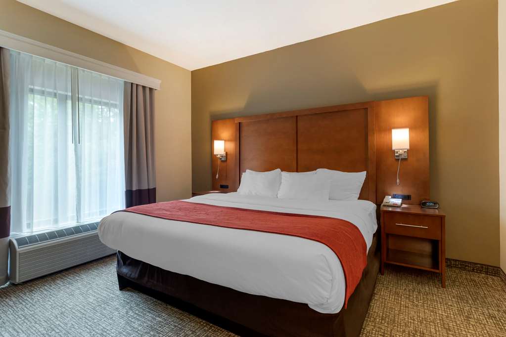 Comfort Suites Kingsport South - photo 6