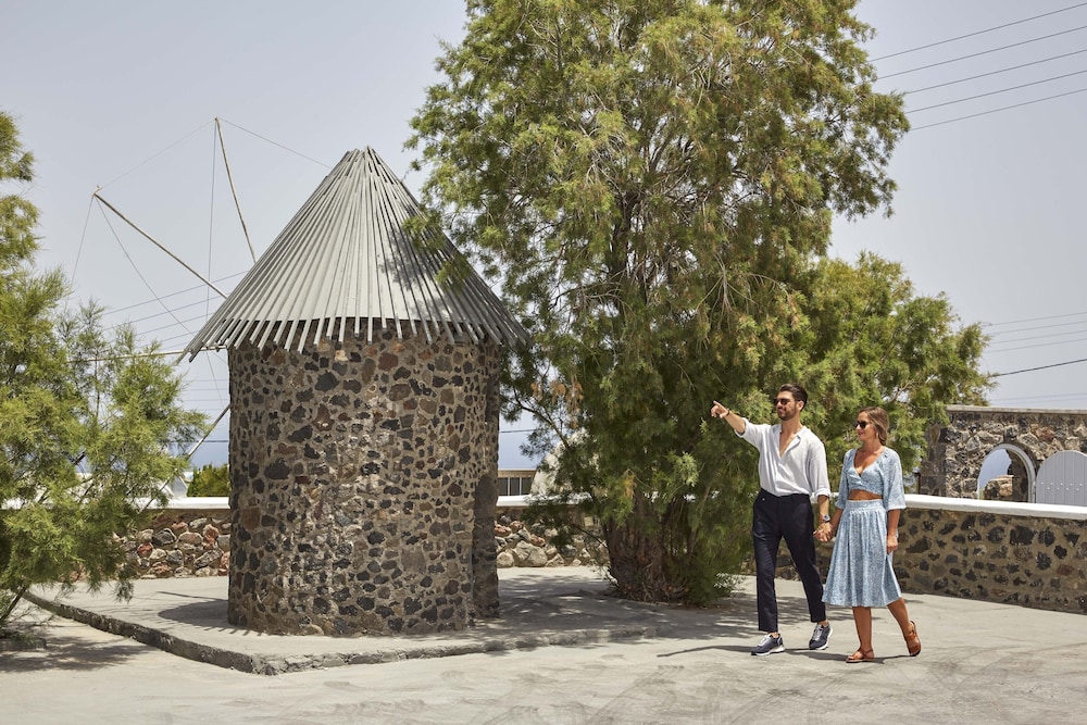 מראה חיצוני