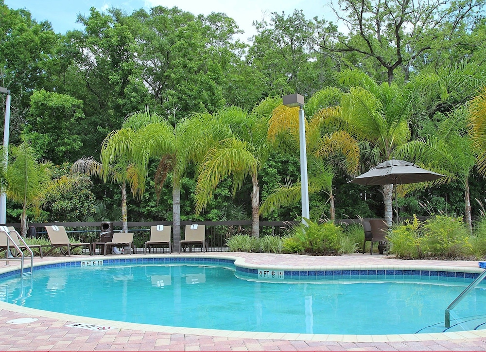 Hampton Inn & Suites Tampa Wesley Chapel - photo 24