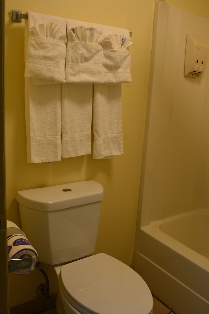 Southern Inn Lumberton - photo 34