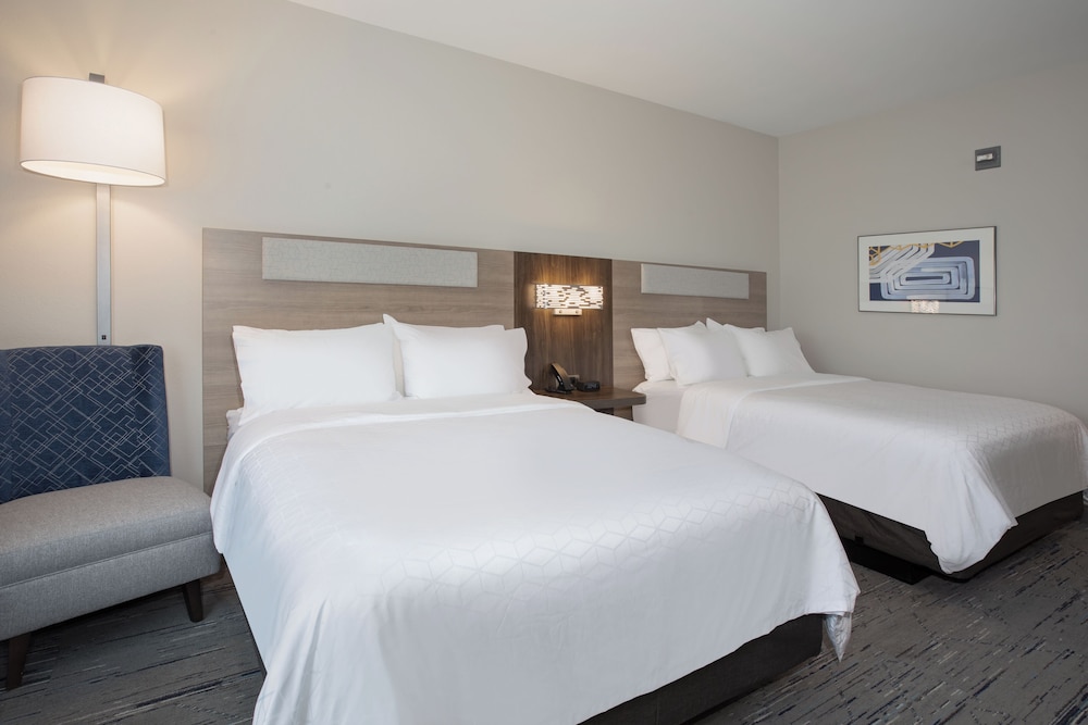 Holiday Inn Express and Suites Meridian Boise west by IHG - photo 10