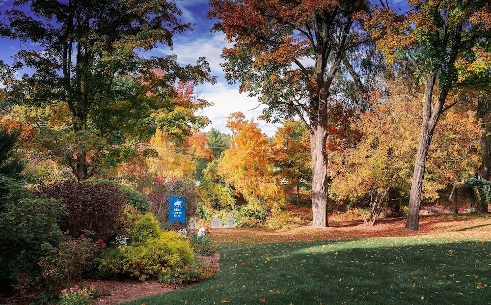 The Blue Horse Inn - photo 30