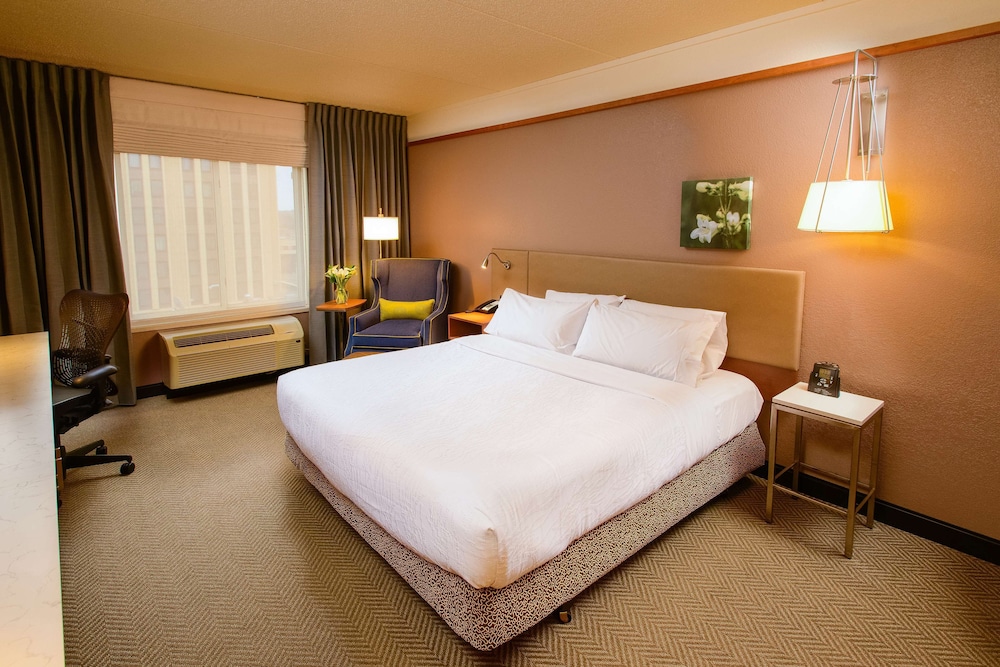Hilton Garden Inn Rochester Downtown MN - photo 19