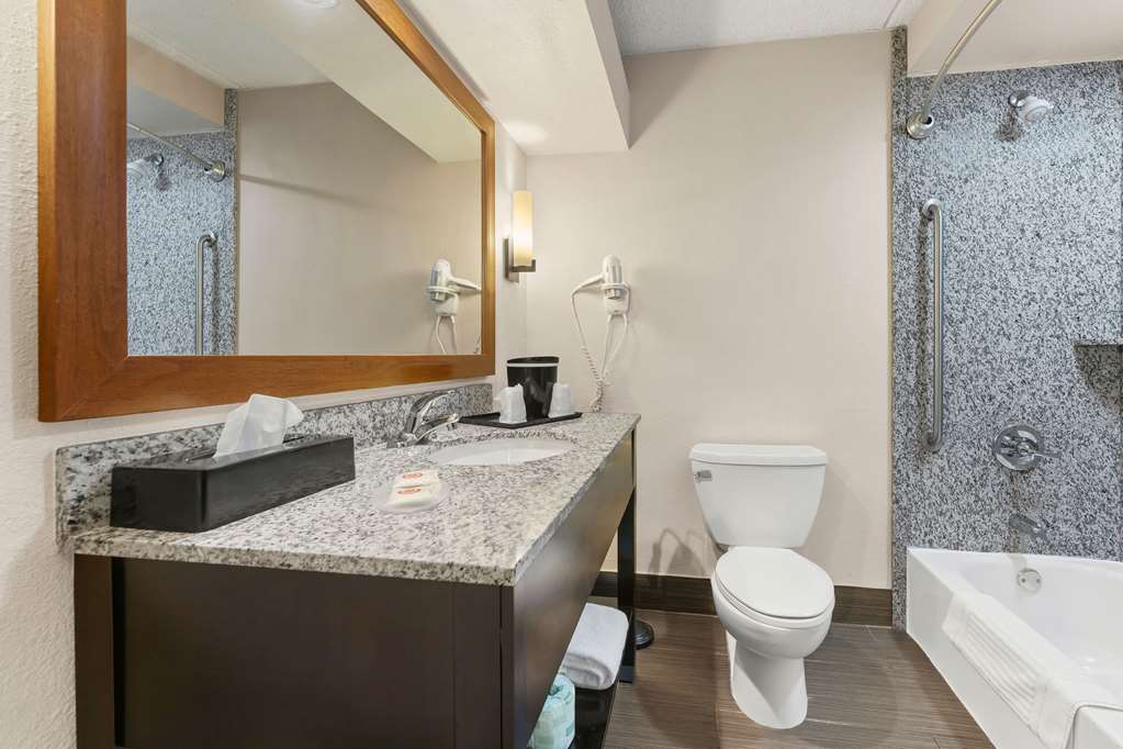 Comfort Inn Lehigh Valley West Allentown - photo 22