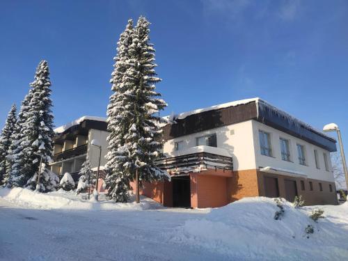 Penzion Aktiv in Vysoke Nad Jizerou, Czech Republic