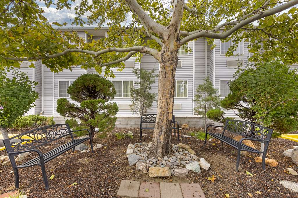Best Western Fallon Inn & Suites - photo 48