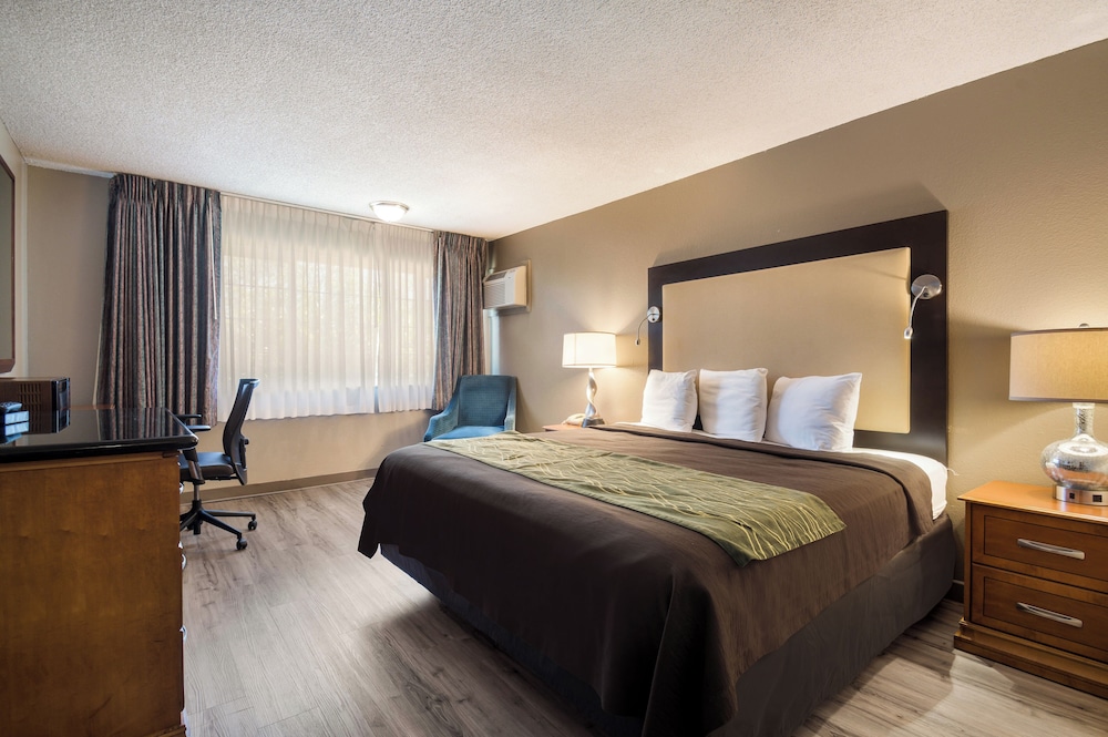 Rodeway Inn & Suites Portland West Beaverton - photo 15