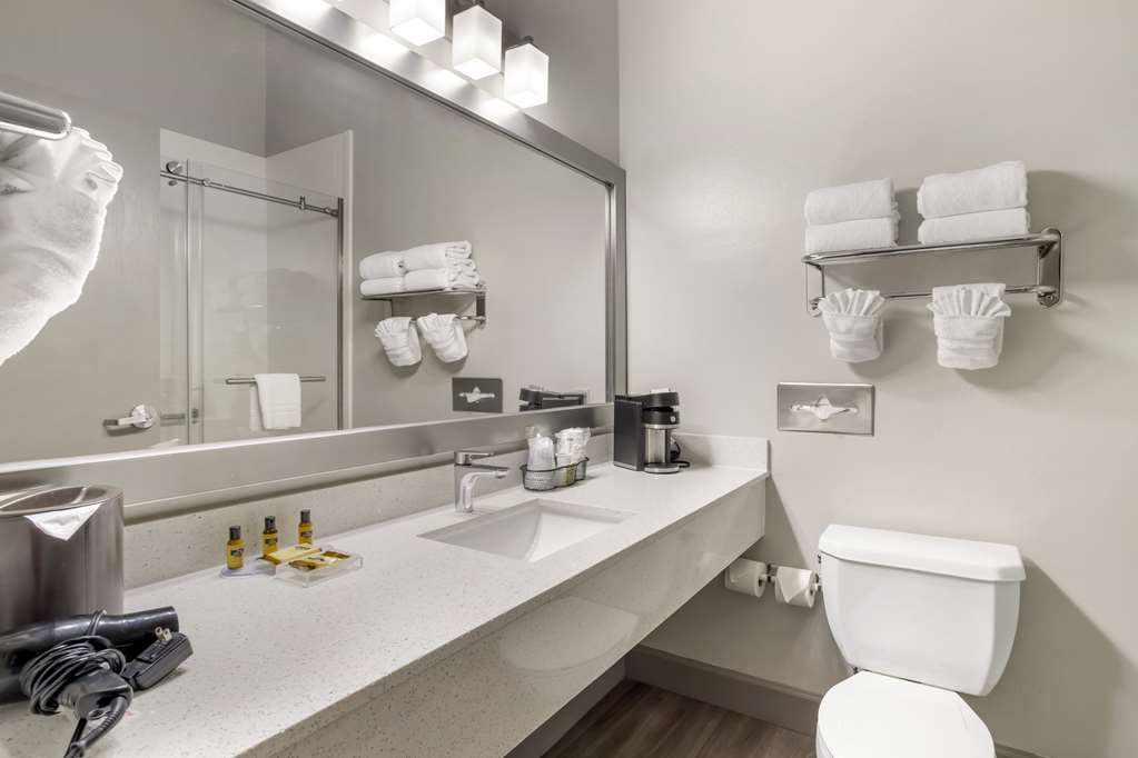 Best Western Plus Hobby Airport Inn & Suites - photo 16