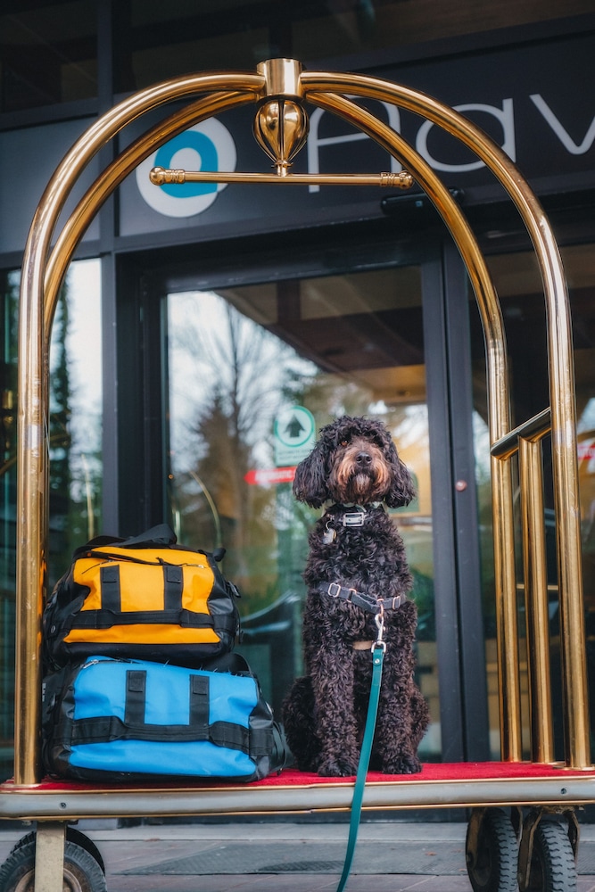 Aava Whistler Hotel in Whistler, Canada