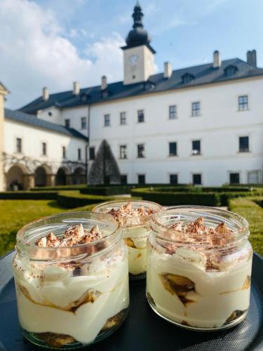 Hotel Zámek Letohrad in Letohrad, Czech Republic