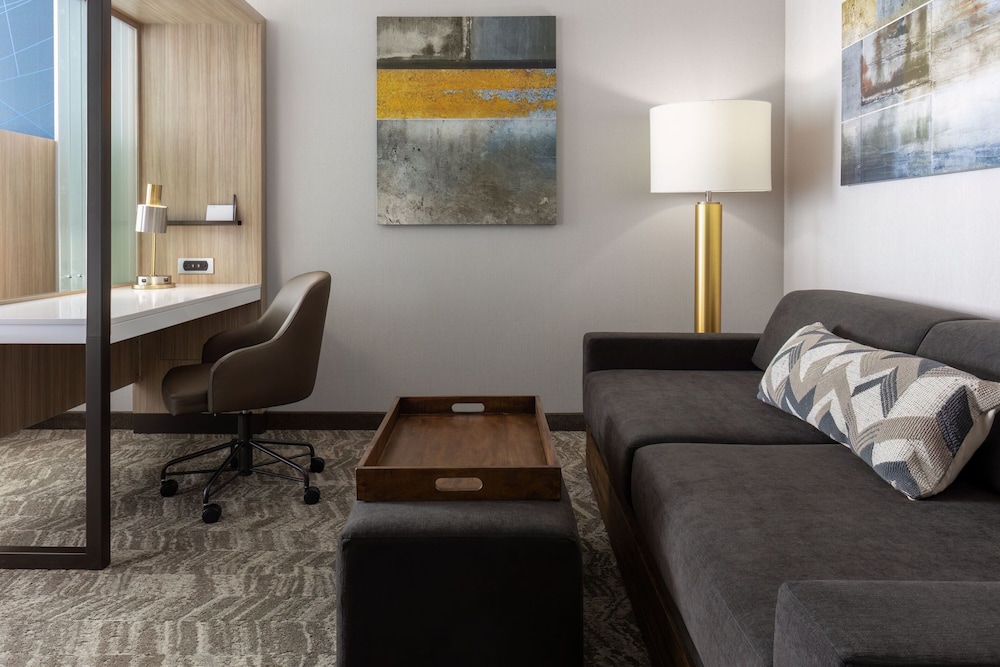 SpringHill Suites by Marriott Pleasanton - photo 13