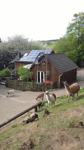 Funny Farm — Klotten
