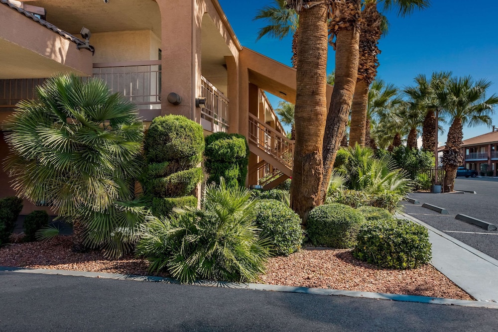 Quality Inn Saint George South Bluff - photo 25