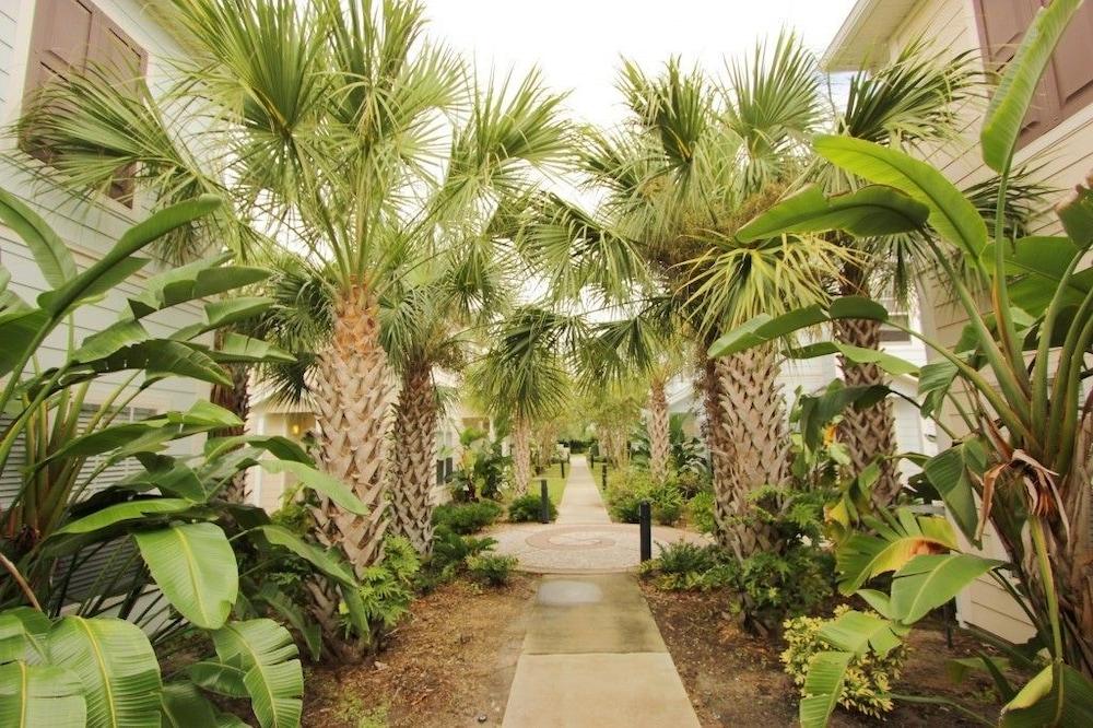 Lucaya Resort by FunQuest Vacation - photo 21