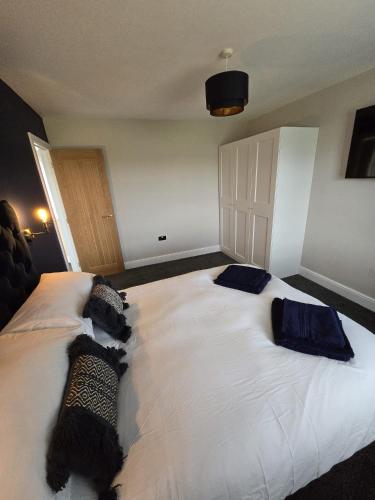 Perfect Getaway 2 — Middlesbrough — photo 4