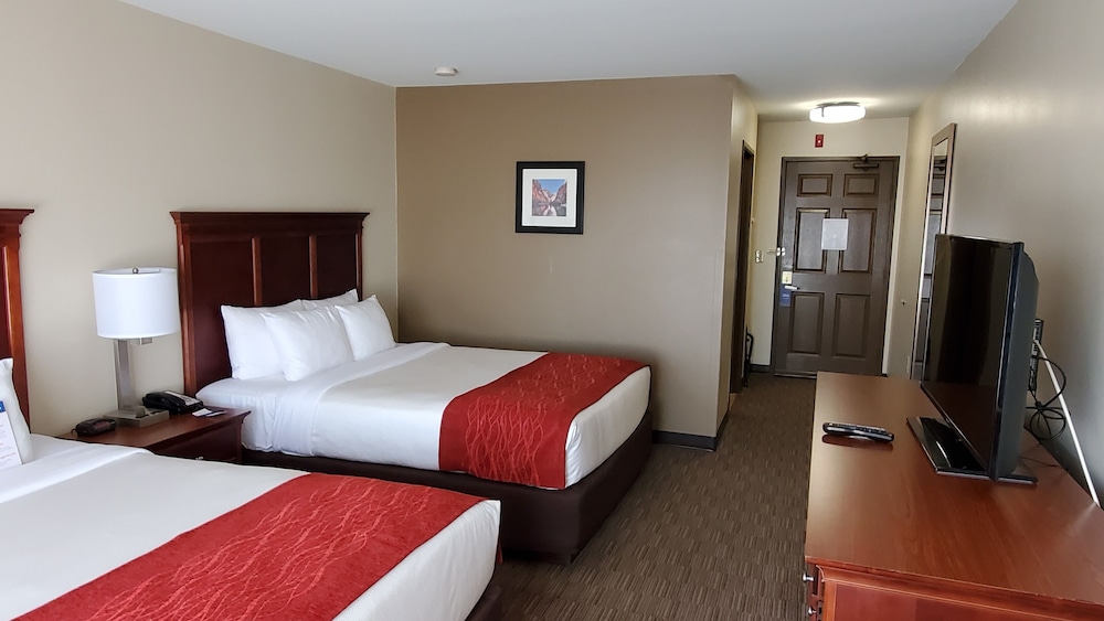 City Express by Marriott Tempe - photo 12