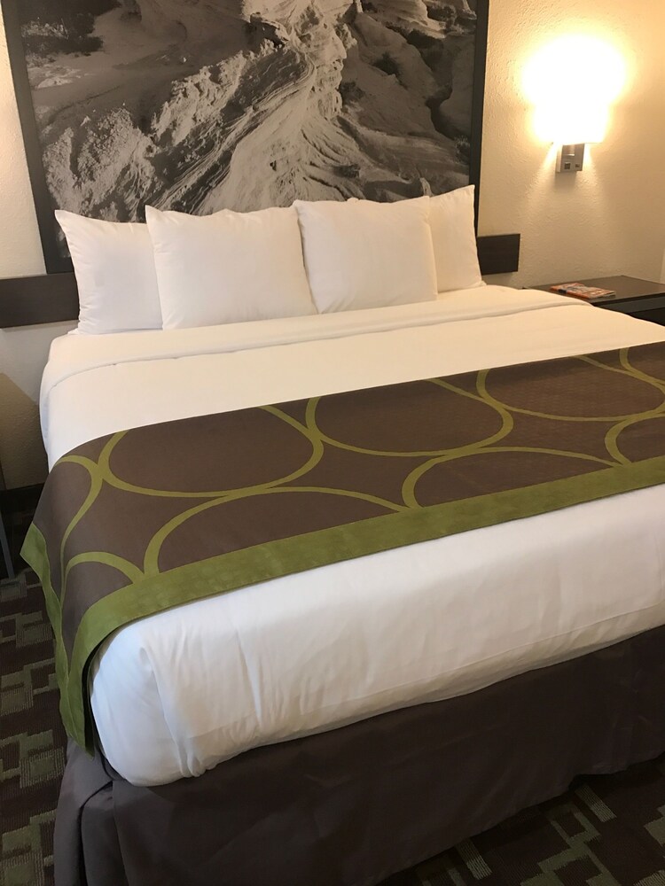 402 Hotel - photo 17