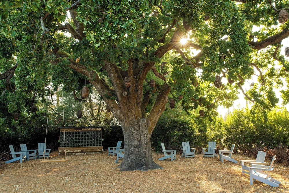 The Lodge at Sonoma Resort Autograph Collection - photo 93