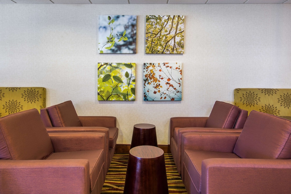 Homewood Suites by Hilton Denver West Lakewood - photo 3