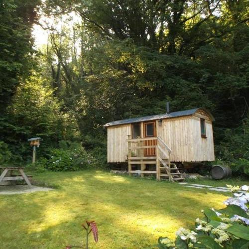 ‘Morris’ the shepherd’s hut woodland hot tub available separate fee in Carmarthen, United Kingdom