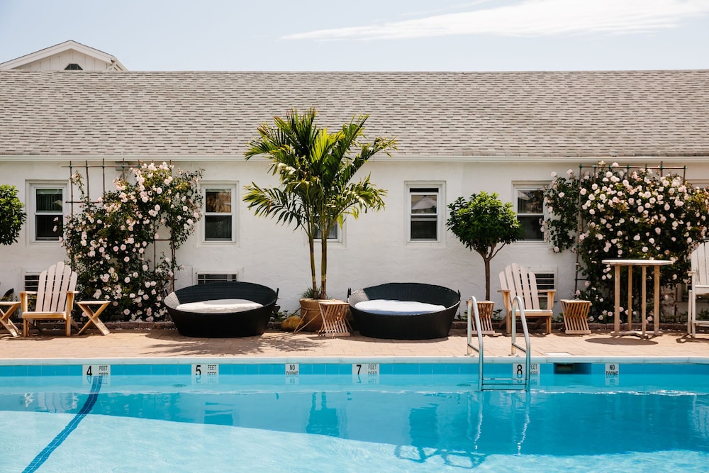 Daunt's Albatross Motel - photo 15